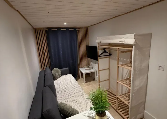 Le Petit Cocon De Jeannin Apartment Dijon