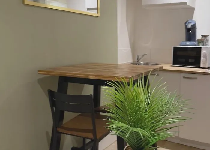 Apartment Le Petit Cocon De Jeannin Dijon